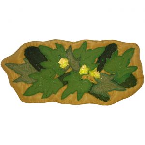 Neighborhood of Zucchini